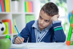 How to Choose the Best Online 11 Plus Exam Preparation Tutor for Your Child